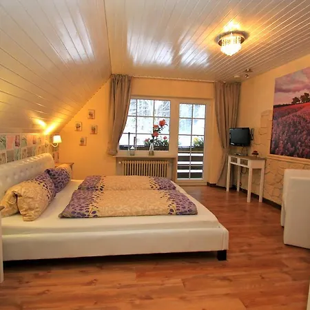 Hotel Haus Sonneck 3*