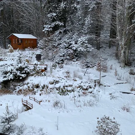 Hotel Haus Sonneck Schluchsee