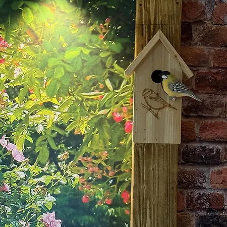 Haus Sonneck 3* Шлухзее