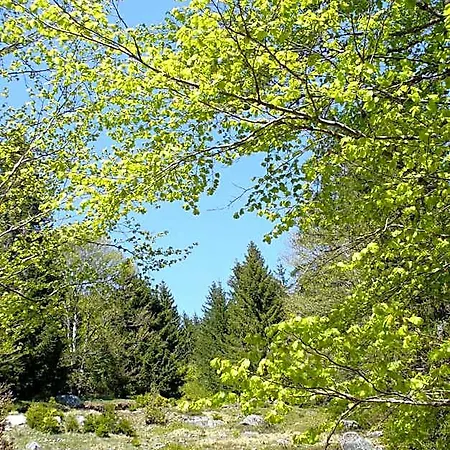 Haus Sonneck 3* Schluchsee