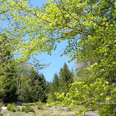 Отель Haus Sonneck