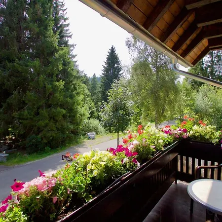 Hotel Haus Sonneck Schluchsee